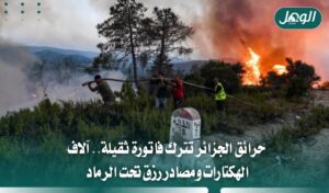 حرائق الجزائر تحرق آلاف الهكتارات وتضرب مصادر رزق العائلات