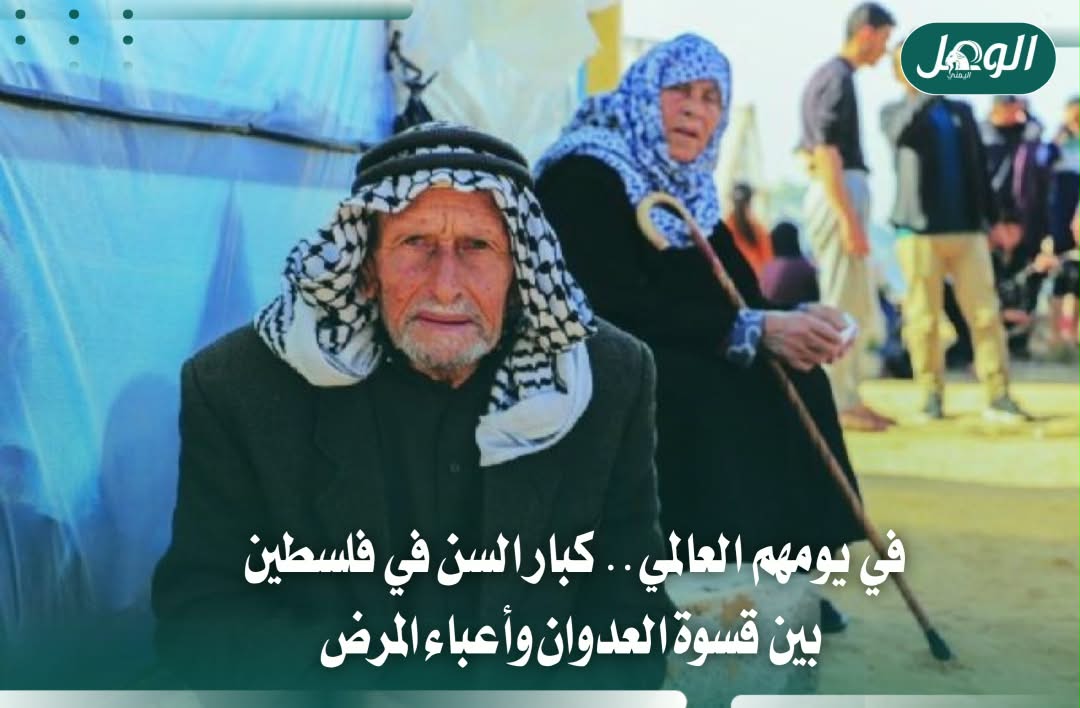 كبار السن في فلسطين.. 76% يعانون أمراضًا مزمنة