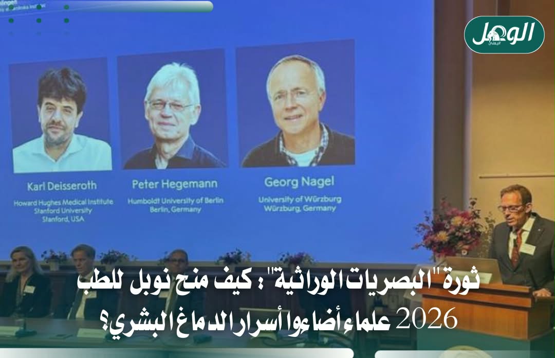 نوبل للطب 2026 لثلاثة علماء طوروا التحكم بخلايا الدماغ بالضوء