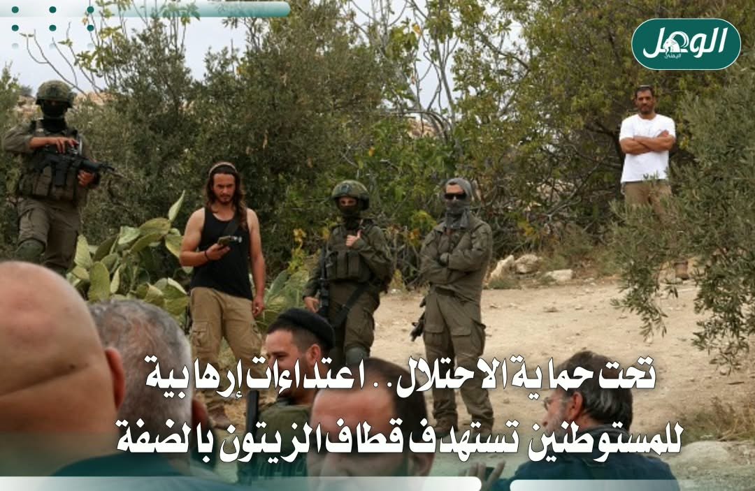 مستوطنون يهاجمون مزارعي الضفة ويمنعون قطف الزيتون