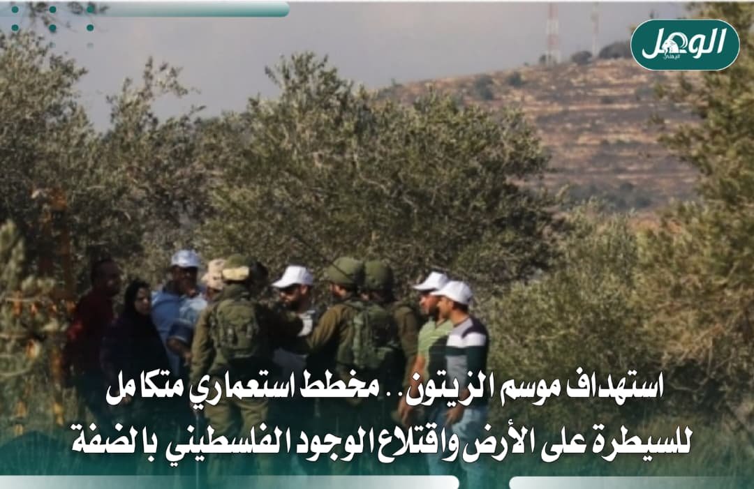 اعتداءات المستوطنين تهدد موسم الزيتون الفلسطيني في الضفة الغربية